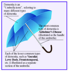 Illustration of dementia as an umbrella term showing Alzheimer’s disease and other types of dementia