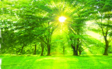 Prearranging funeral services may be one of the greatest things you can do for your surviving loved ones.